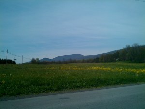 Tuscarora Mtn.'s summit as seen from the road leading to Cowans Gap State Park.