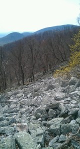 Boulder field with the Tuscarora summits.