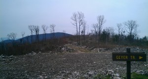 The denuded Tuscarora ridge at the intersection with the Guyer Trail.