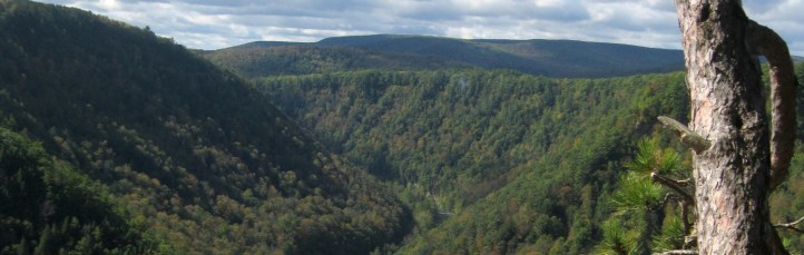 cropped-img_1079.jpg