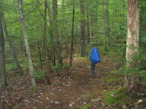 Off we go on the Appalachian Trail with Toadstool cutting the path.