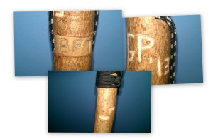 Hiking Stick Photos_Crop