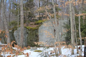 Mossy boulder at the junction of Ellenton Grade, OLP and Buck Run.