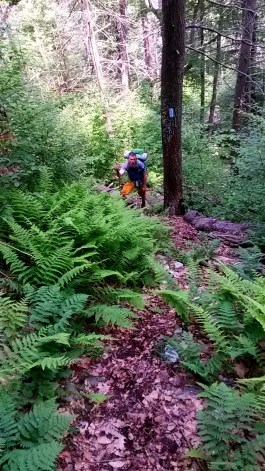 Josh on the climb up Amberson Ridge/Fenton Knob out of Fowlers Hollow.